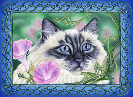 кошачий портрет - котики, цветы, портрет - оригинал