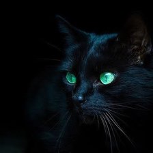 Схема вышивки «чёрная кошка»