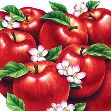 Схема вышивки «красные яблочки»