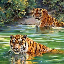 Схема вышивки «купание тигров»