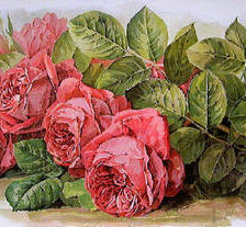Оригинал схемы вышивки «Королевские розы» (№598846)
