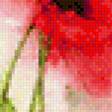 Предпросмотр схемы вышивки «Цветы.Акварель» (№598882)