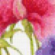 Предпросмотр схемы вышивки «Цветы.Акварель» (№599832)