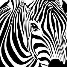 Схема вышивки «зебра(черно-белая)»
