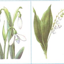 Оригинал схемы вышивки «Диптих" Весенние цветы"» (№601881)