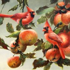 птицы в яблоках
