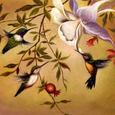 Оригинал схемы вышивки «колибри и цветы» (№602574)