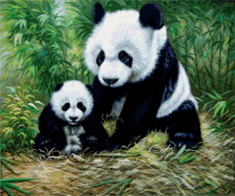 панда - панда, животные - предпросмотр