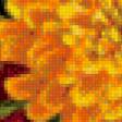 Предпросмотр схемы вышивки «желтые хризантемы» (№602977)