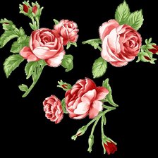 Оригинал схемы вышивки «Розы Микро 2» (№606283)
