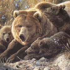 Схема вышивки «медведица с медвежатами»