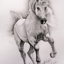 Оригинал схемы вышивки «лошадь» (№612309)