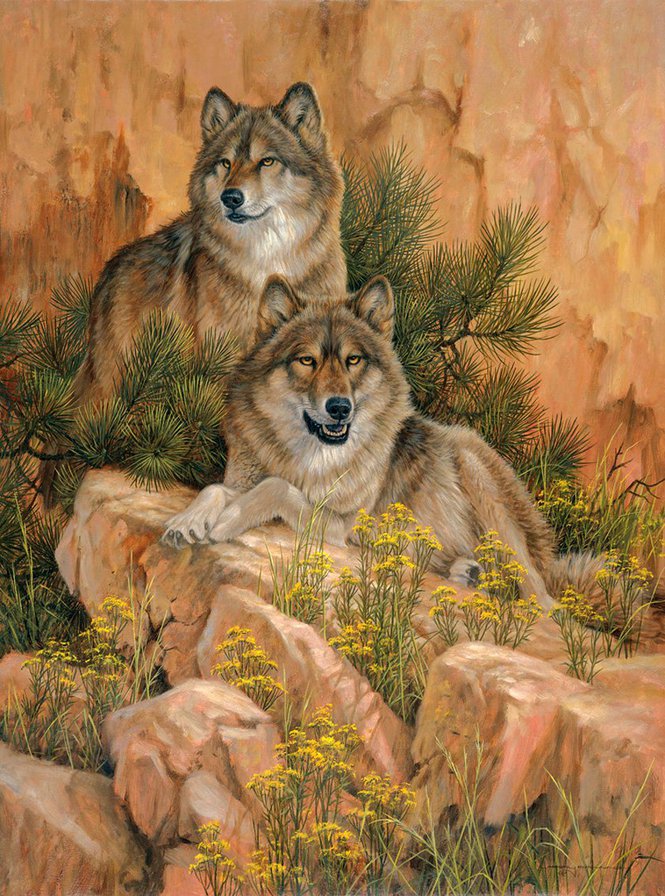 Волки - животные, волки, картина - оригинал