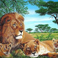 Схема вышивки «семья львов»