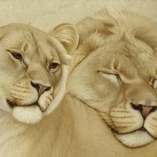 Схема вышивки «Сладкая парочка львов»