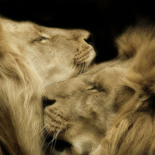 Схема вышивки «Два брата - львы»