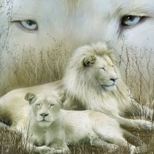 Схема вышивки «Романтическая пара - белые львы»