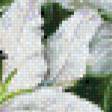 Предпросмотр схемы вышивки «белые лилии» (№617873)