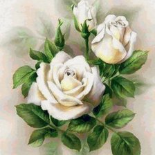 Оригинал схемы вышивки «белые розы» (№619698)