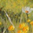 Предпросмотр схемы вышивки «Полевые цветы» (№623267)