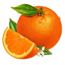 Схема вышивки «апелсин»