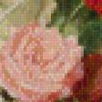 Предпросмотр схемы вышивки «Букет роз» (№627077)