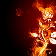 Схема вышивки «огненной цветок»