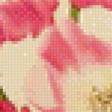 Предпросмотр схемы вышивки «Розы» (№632019)