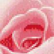 Предпросмотр схемы вышивки «Розы» (№632999)