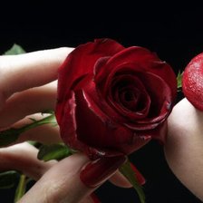 Схема вышивки «роза любви»