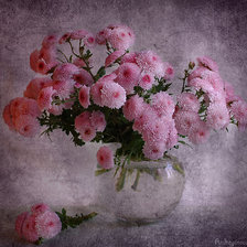 Схема вышивки «розовые хризантемы»