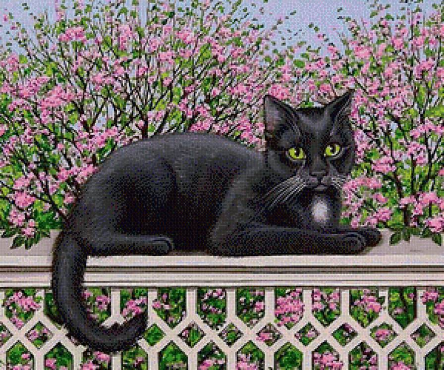 Весенний кот - кошки, весна, животные, цветы - предпросмотр