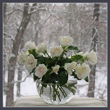 Оригинал схемы вышивки «белые розы зимой» (№636836)