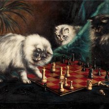 Схема вышивки «коты и шахматы»