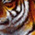 Предпросмотр схемы вышивки «тигры» (№638099)