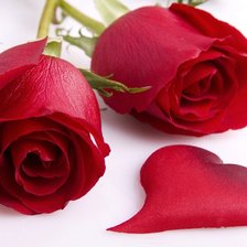 Схема вышивки «розы для любимой»