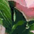 Предпросмотр схемы вышивки «розовый рай» (№639597)