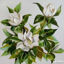 Оригинал схемы вышивки «белые цветы» (№640493)