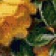 Предпросмотр схемы вышивки «желтые розы» (№643502)