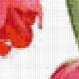 Предпросмотр схемы вышивки «тюльпаны» (№644200)