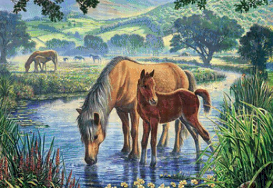 лошади у речки - картина лошади - предпросмотр