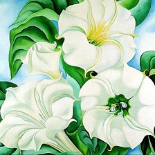 Оригинал схемы вышивки «Белые цветы» (№646076)