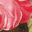 Предпросмотр схемы вышивки «розы и ромашки» (№646135)