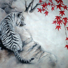 Белый тигр и красный клен