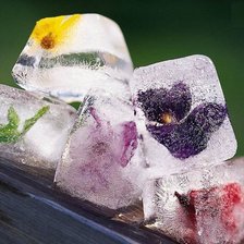 Схема вышивки «лёд с цветами»