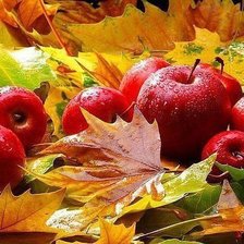 Схема вышивки «Осенние яблоки»