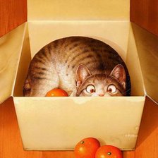 Схема вышивки «кот в коробке с мандаринами»