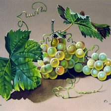 Оригинал схемы вышивки «Виноградная гроздь» (№653755)