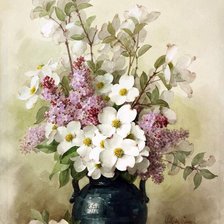 белые цветы в вазе