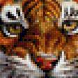 Предпросмотр схемы вышивки «Тигр» (№657200)